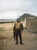 palma_guardia.jpg